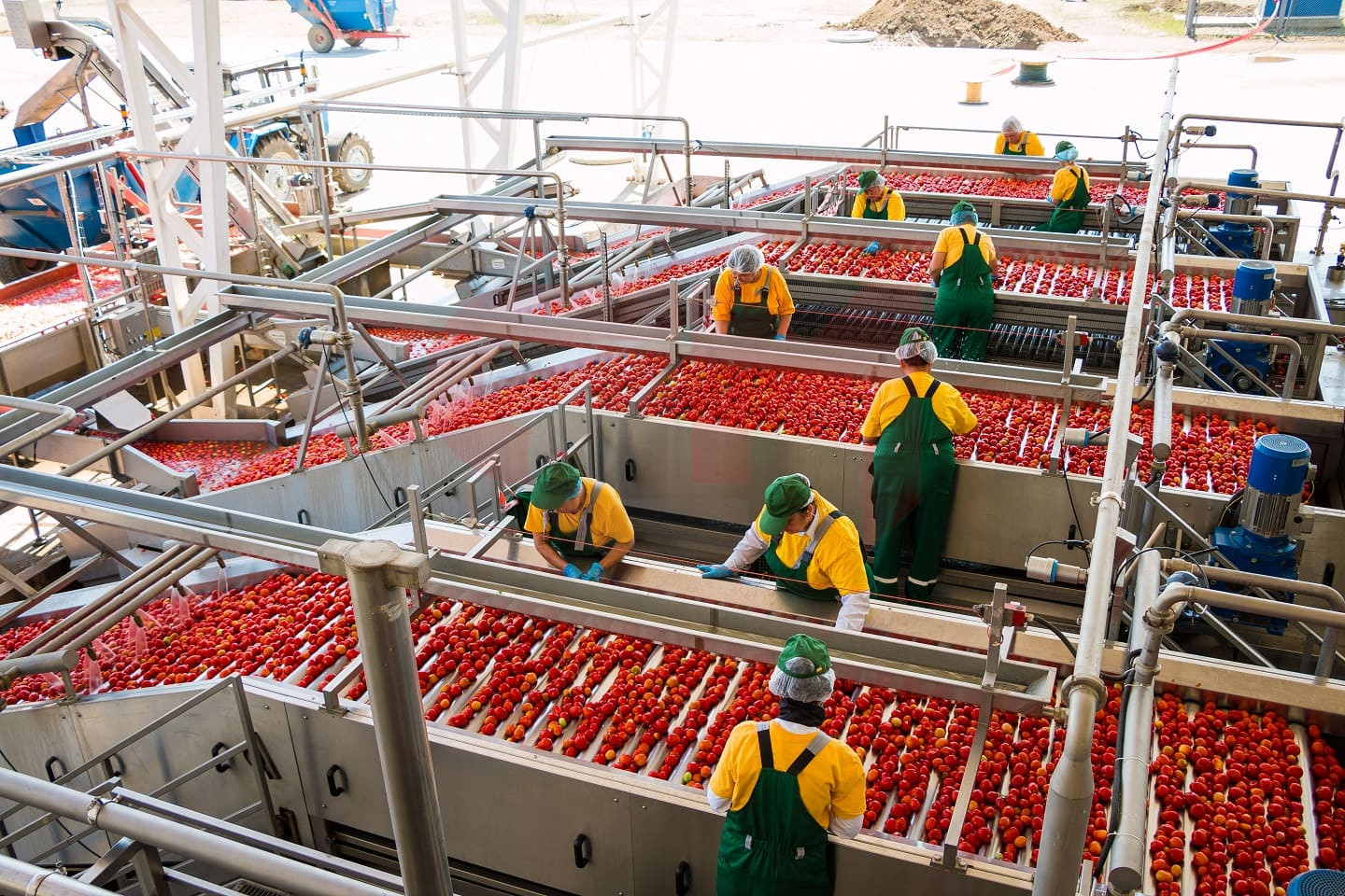 Завод по производству томатной пасты