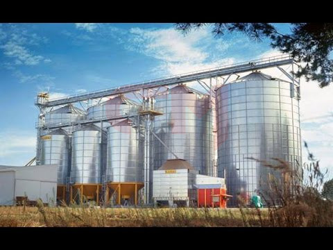 Семенной завод (очистка–калибровка–протравка–фасовка)