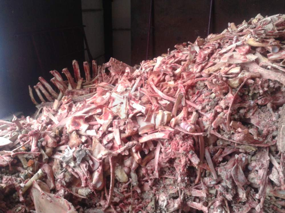 Птицеперерабатывающий комплекс (побочная переработка/утилизация)