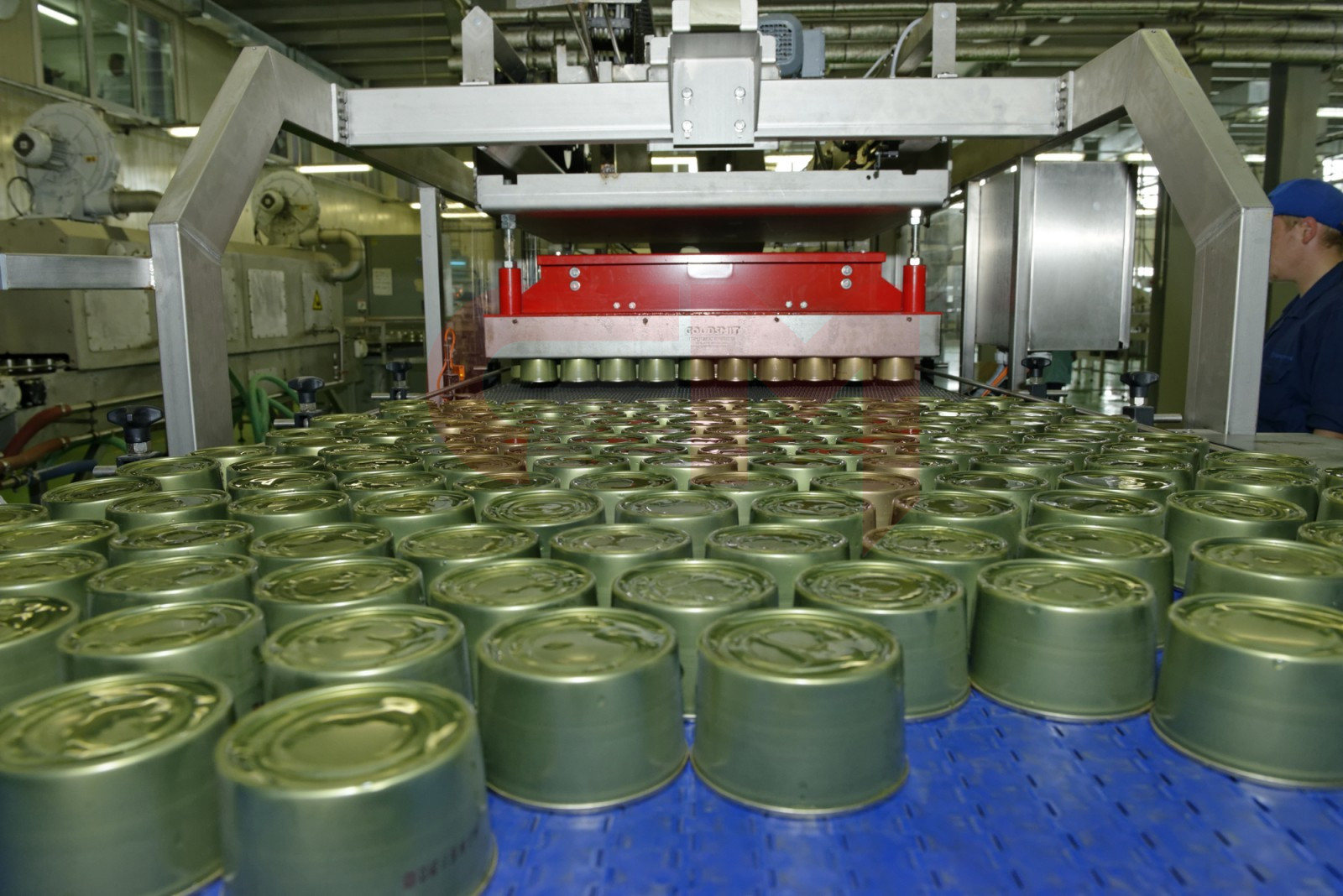 Консервный завод (овощные, мясные, рыбные консервы).